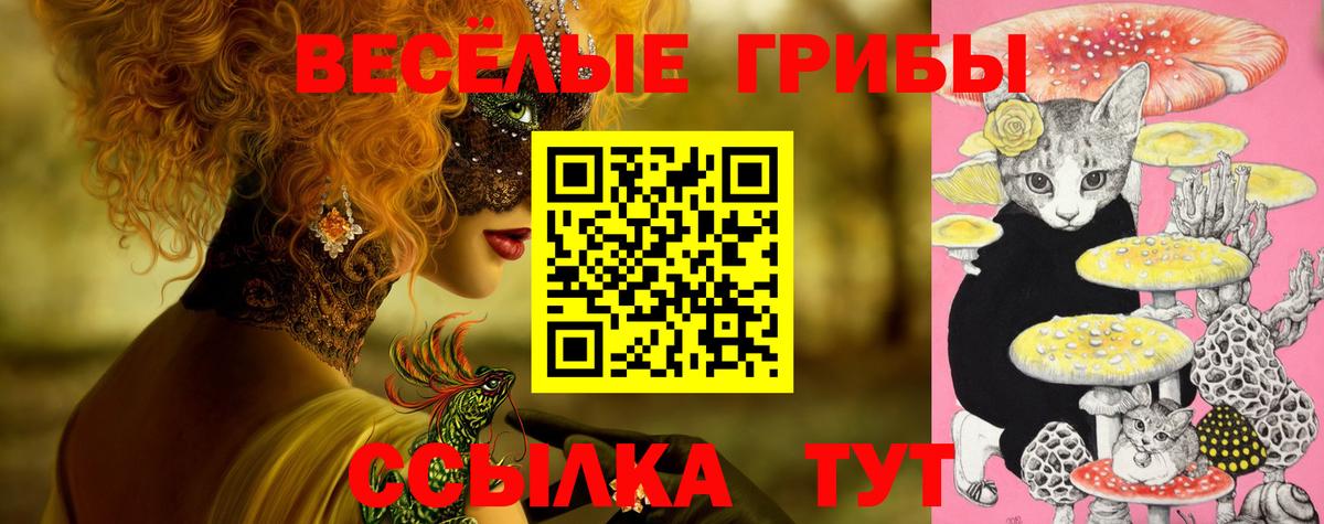 Псилоцибиновые грибы GOLDEN TEACHER Бор