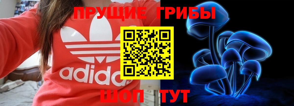 Псилоцибиновые грибы MAGIC MUSHROOMS  где найти наркотики  Бор  Вход с VPN 